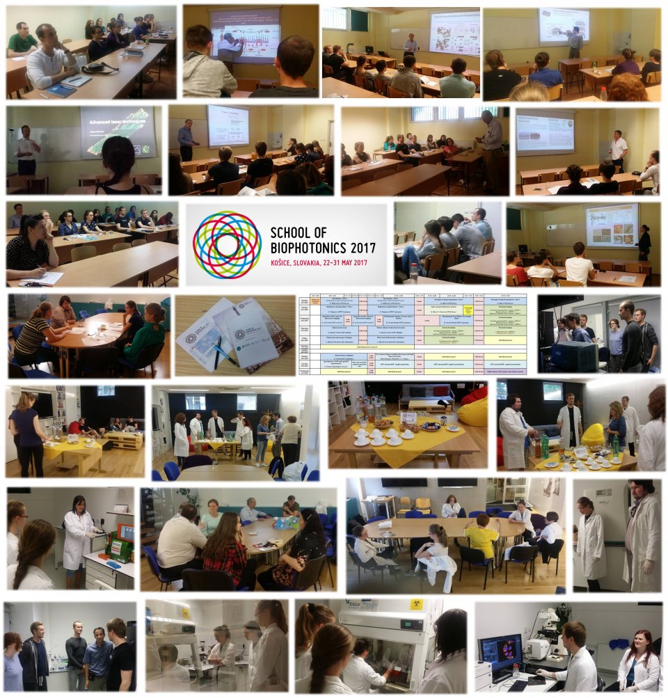 photo-summary-school-of-biophotonics-2017.jpg