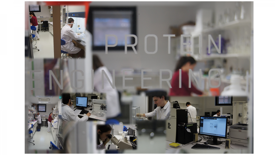 lab1-kolaz.png